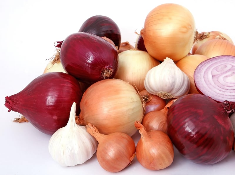 Nutrient-Rich Foods